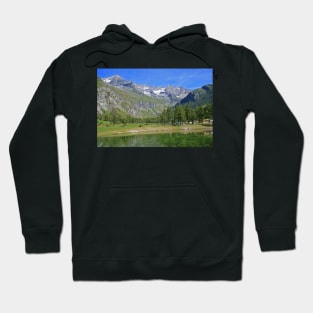 Alpine Landscape Hoodie